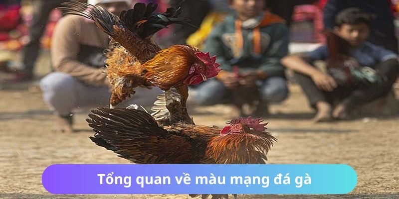 Màu Mạng Đá Gà